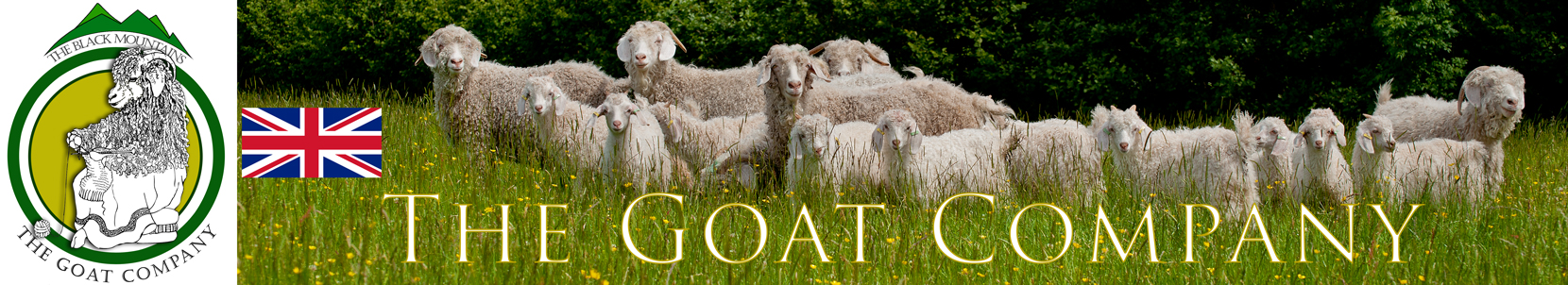 Sustainable Mohair products from The Goat Company