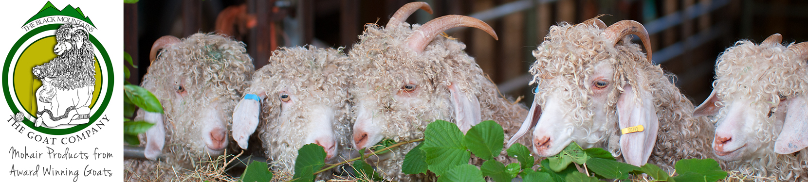 Sustainable Mohair products from The Goat Company