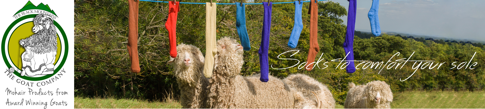 Sustainable Mohair Socks and other products from The Goat Company