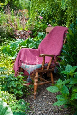 _dsc0313-nef_dxo_deepprimexd