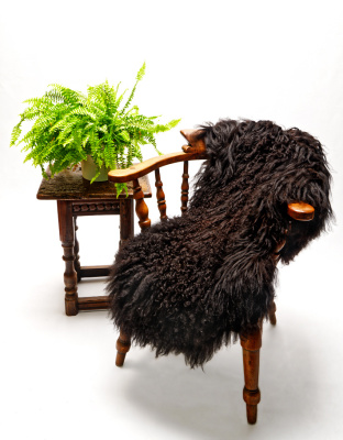Black Icelandic Sheepskin