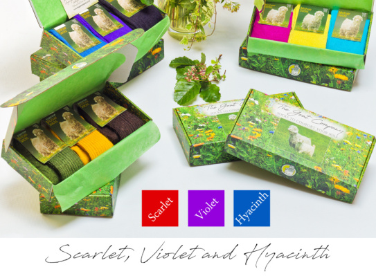 scarlet-violet-and-hyacinth-5173-