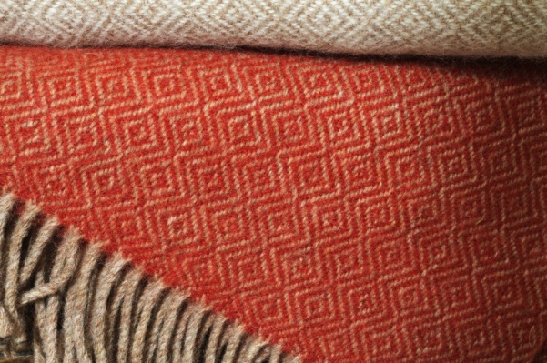 dsc_2530-1_1237653172