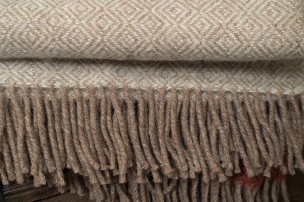 dsc_2535-1_1288507163